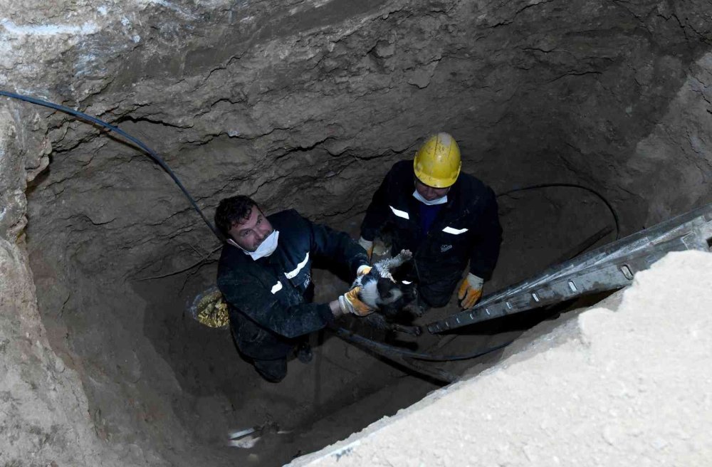 Yavru Köpek Sıkıştığı Yerde Saatlerce Mahsur Kaldı