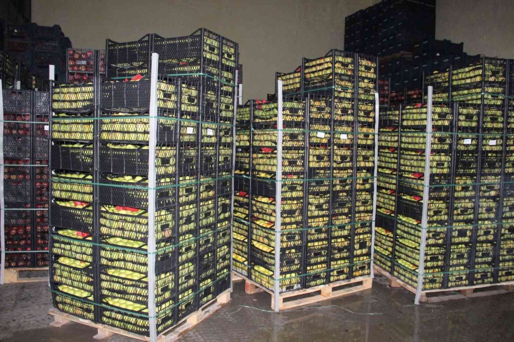 Karaman’dan Libya’ya Elma İhracatı Arttı