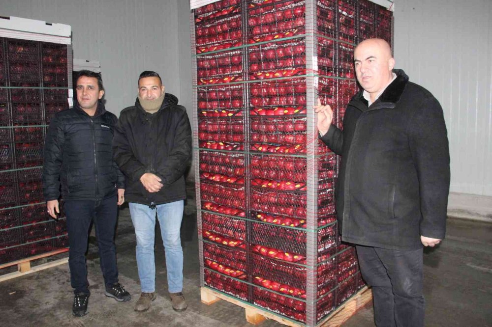 Karaman’dan Libya’ya Elma İhracatı Arttı