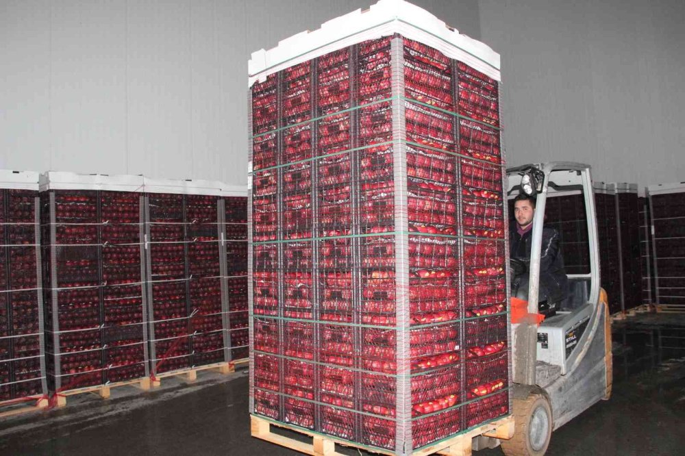 Karaman’dan Libya’ya Elma İhracatı Arttı