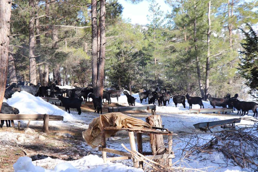 Konya Antalya Karayolu Normale Döndü