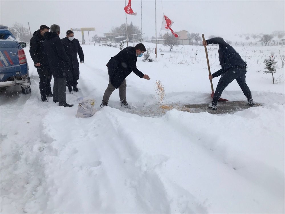 Kazımkarabekir'de Sokak Hayvanları Unutulmadı