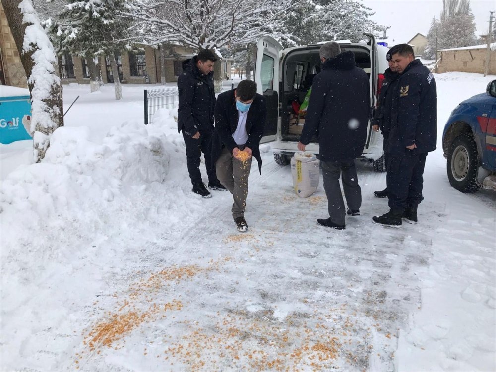 Kazımkarabekir'de Sokak Hayvanları Unutulmadı
