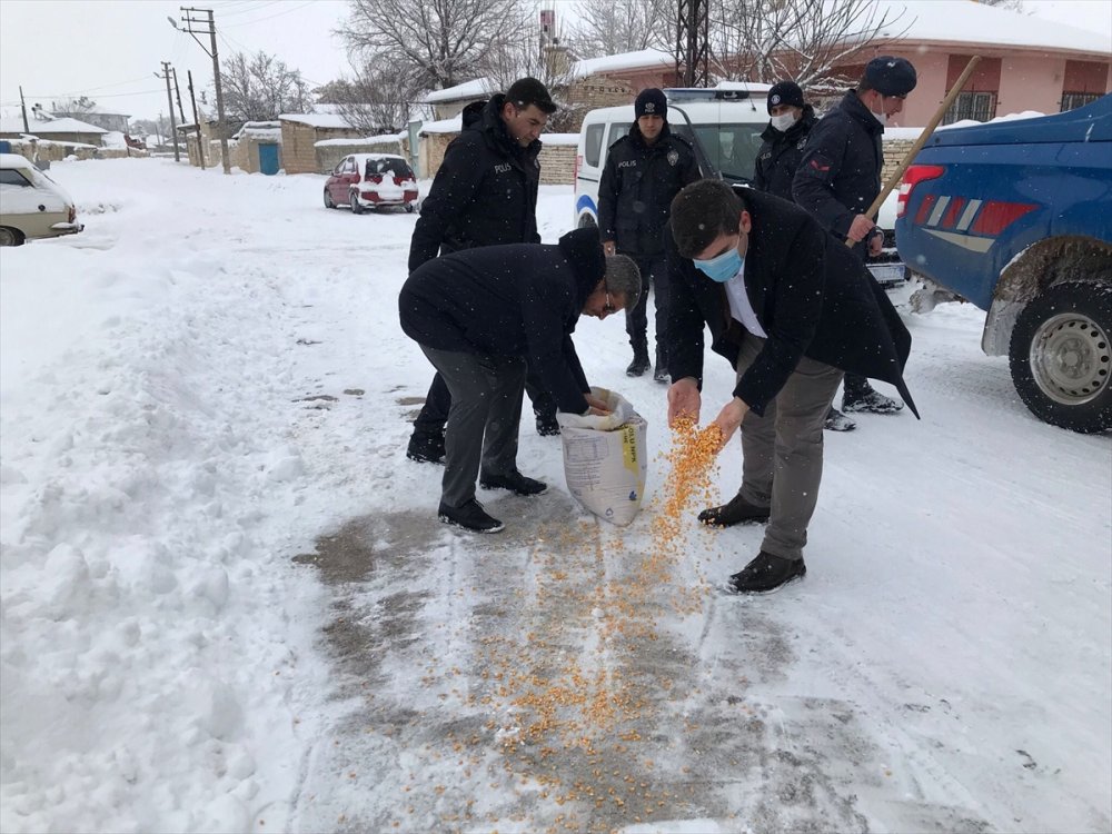 Kazımkarabekir'de Sokak Hayvanları Unutulmadı