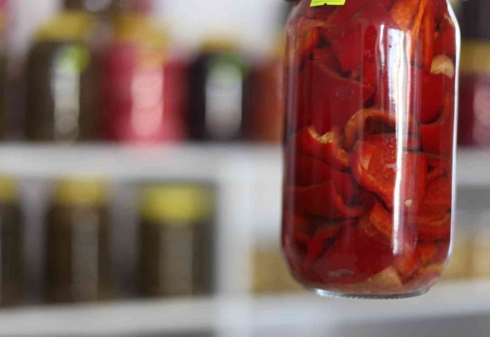 Bağışıklık Sistemine Turşu Dopingi