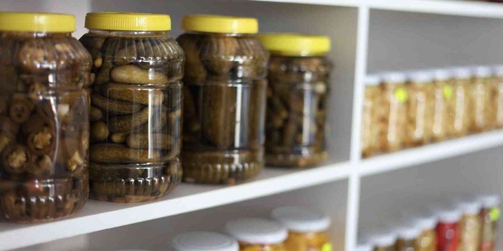 Bağışıklık Sistemine Turşu Dopingi