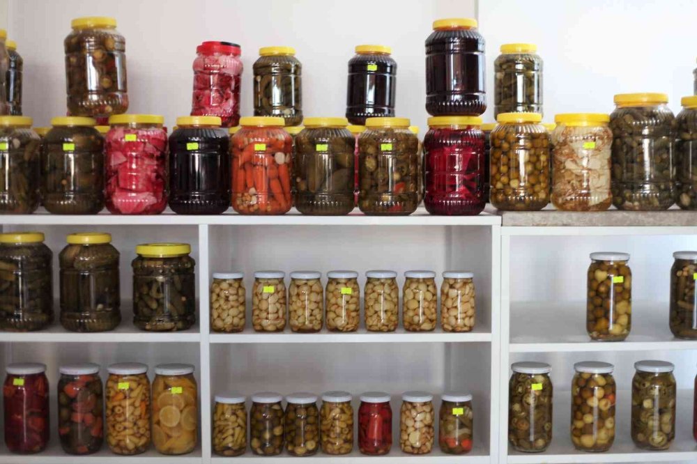 Bağışıklık Sistemine Turşu Dopingi