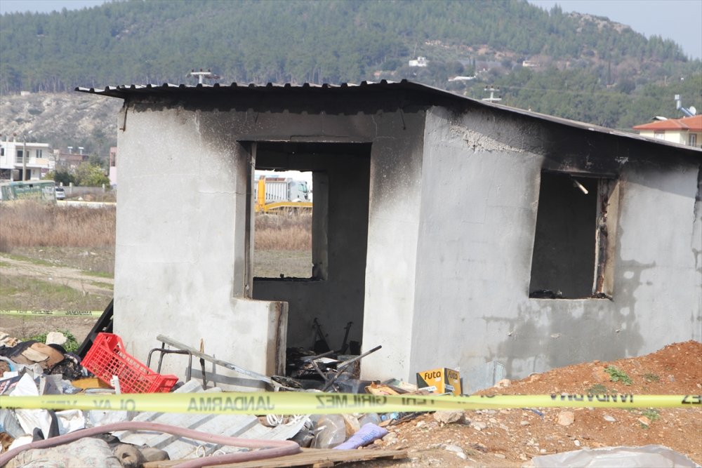 Emekli Öğretmenden Geriye Yavru Köpekler Kaldı