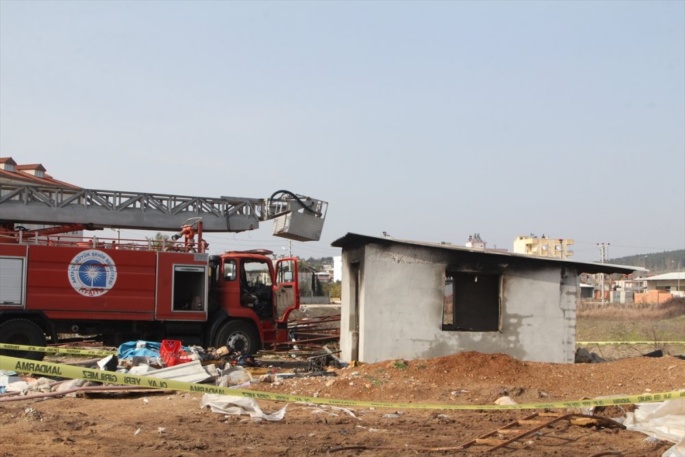 Emekli Öğretmenden Geriye Yavru Köpekler Kaldı