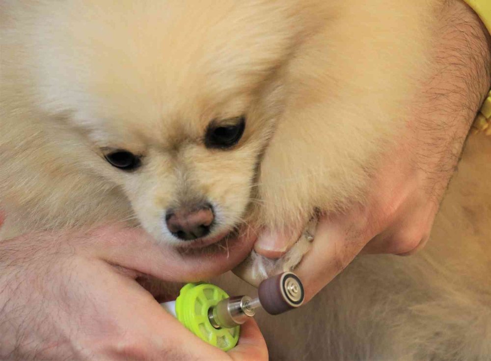 İlk Kez Yapılan Sınavda Tek Başına 3 Saat Ter Döktü