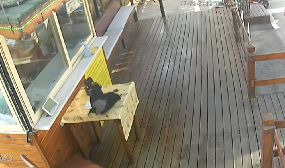 Besle Kargayı Çalsın Anahtarı