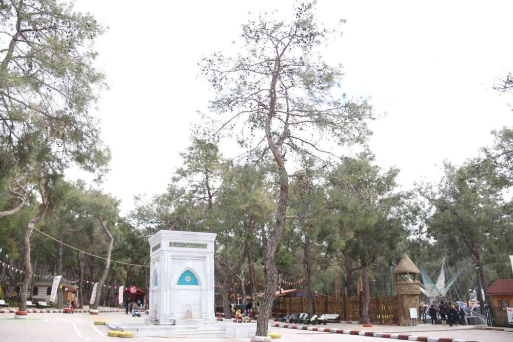 Besle Kargayı Çalsın Anahtarı