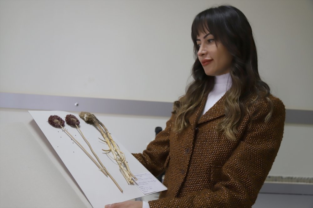 "Resimli Türkiye Florası"nın 3. Cildi Basıma Hazır