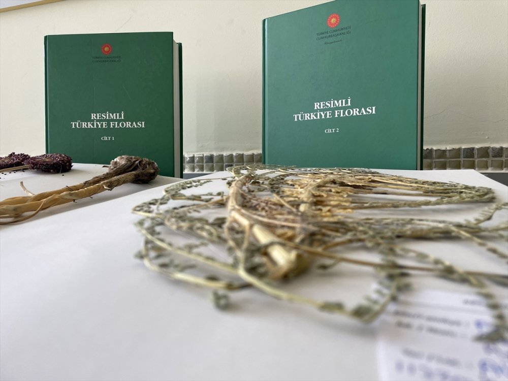 "Resimli Türkiye Florası"nın 3. Cildi Basıma Hazır