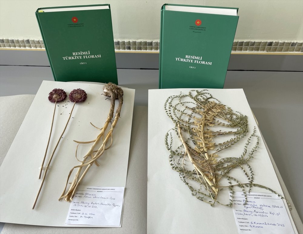"Resimli Türkiye Florası"nın 3. Cildi Basıma Hazır