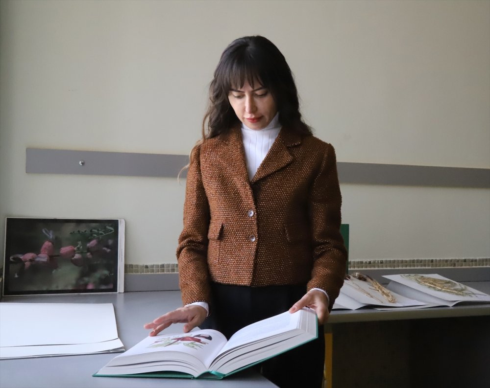 "Resimli Türkiye Florası"nın 3. Cildi Basıma Hazır