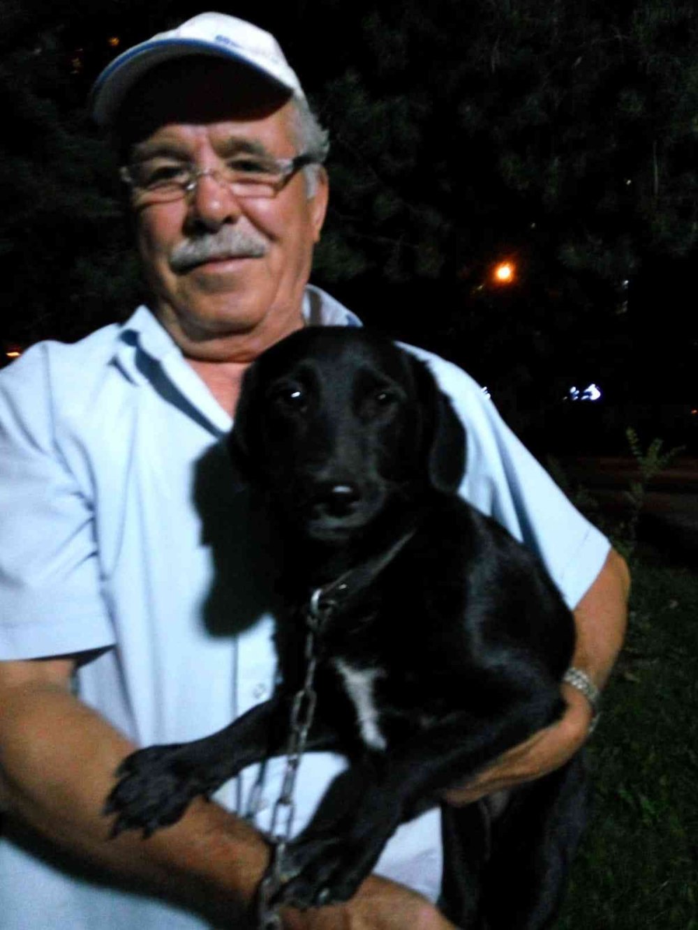 ‘Can Yoldaşım’ Dediği Köpek İçin Gözyaşı Döküyor