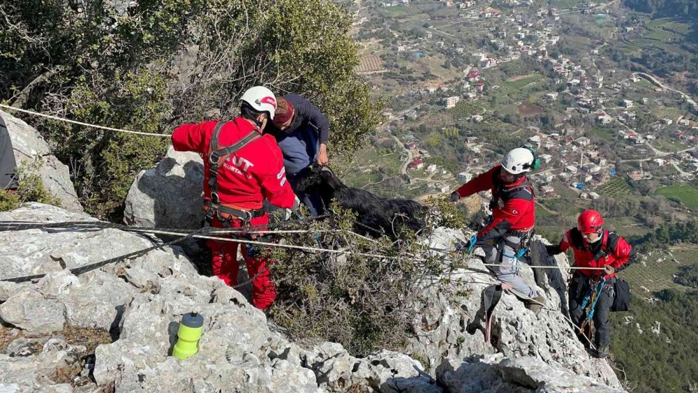Kayalıklarda Mahsur Kalan Keçi 5 Gün Sonra Kurtarıldı