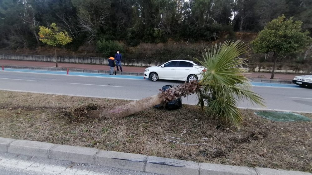 Manavgat'ta Trafik Kazası