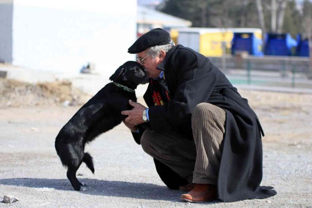 Faik Amcanın ’Zeytin’ Hasreti Bitti
