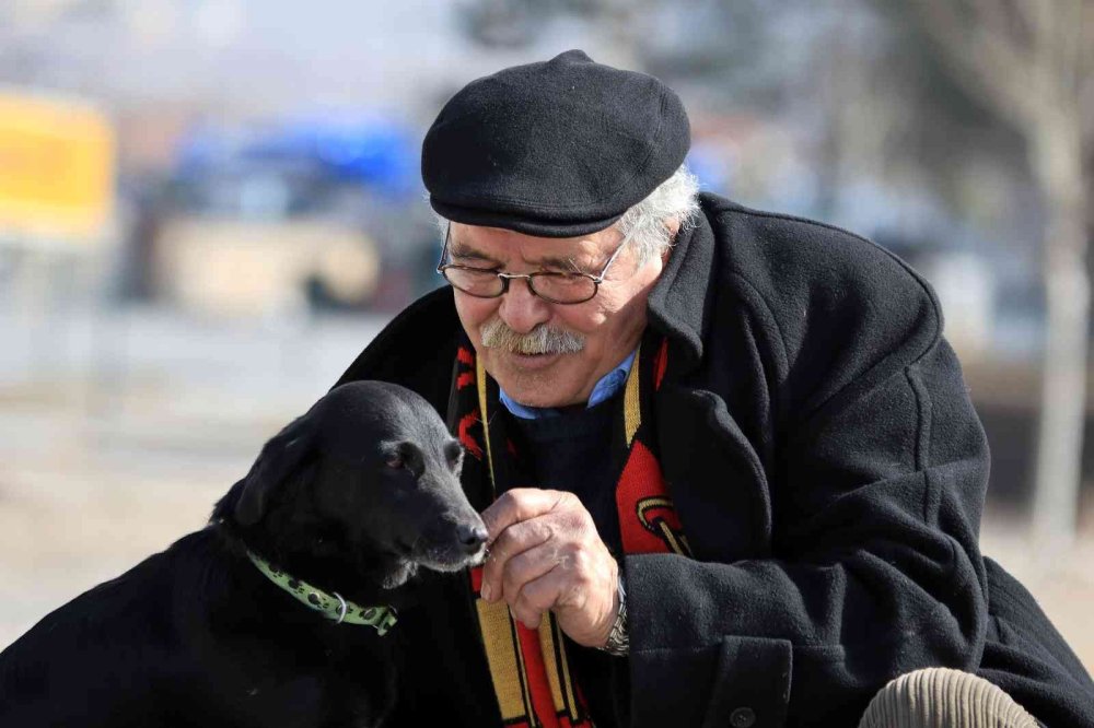 Faik Amcanın ’Zeytin’ Hasreti Bitti