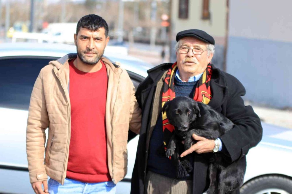 Faik Amcanın ’Zeytin’ Hasreti Bitti