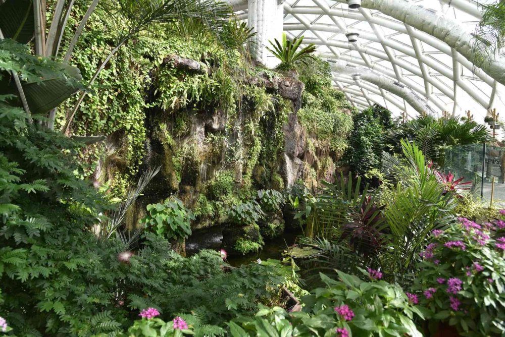 Tropikal Kelebek Bahçesi Ziyaretçilerini Bekliyor