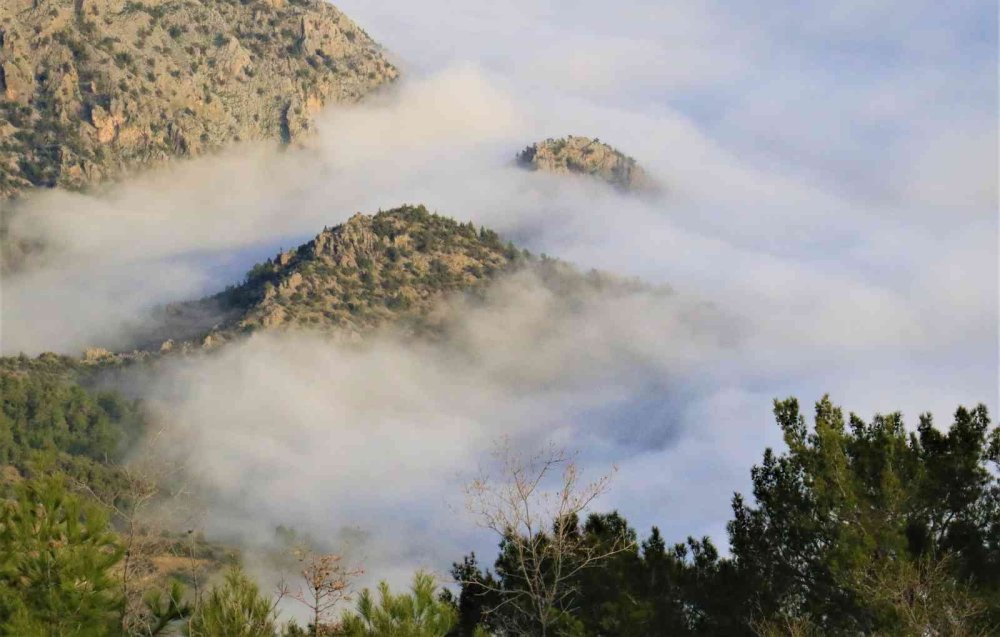 Göksu Vadisi’nden Seyirlik Görüntüler