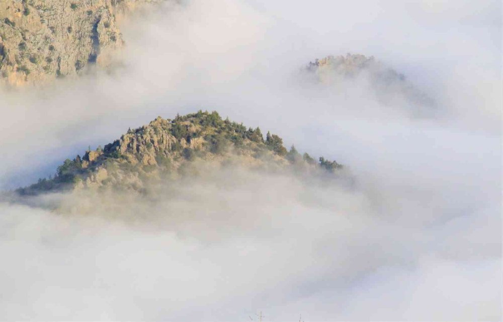 Göksu Vadisi’nden Seyirlik Görüntüler
