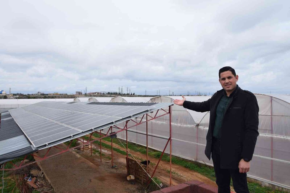 Kendi Elektriğinin Fazlasını Üreten Sera