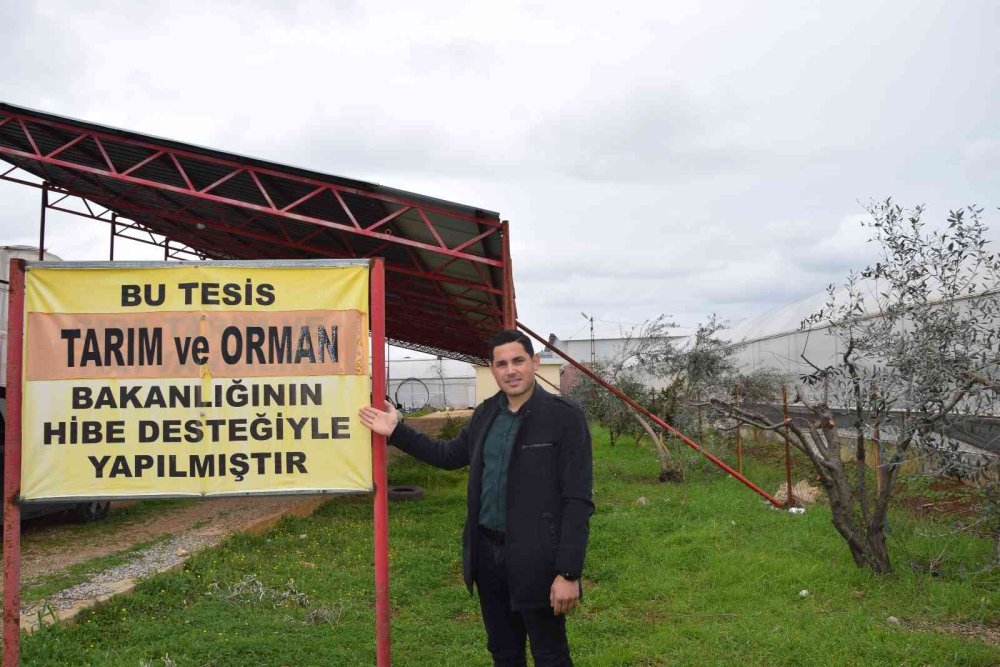 Kendi Elektriğinin Fazlasını Üreten Sera