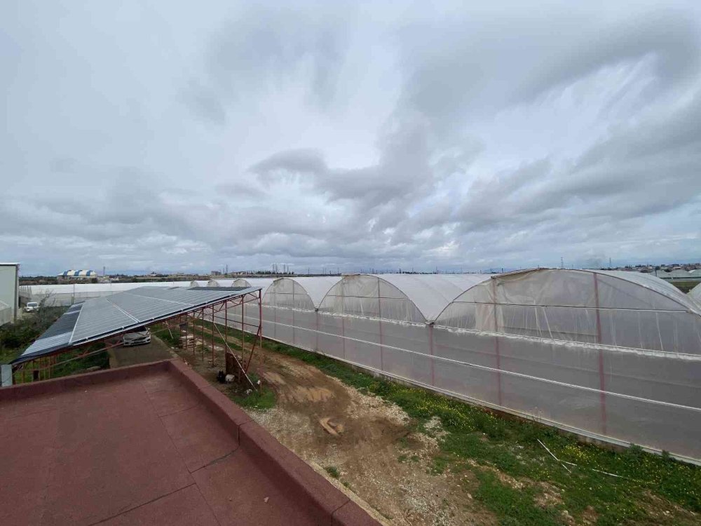 Kendi Elektriğinin Fazlasını Üreten Sera