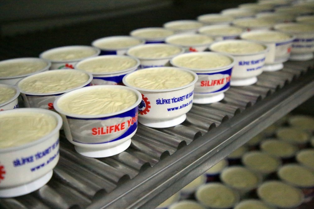 Tescillenen Silifke Yoğurdunun Dünyaya Tanıtılması Hedefleniyor