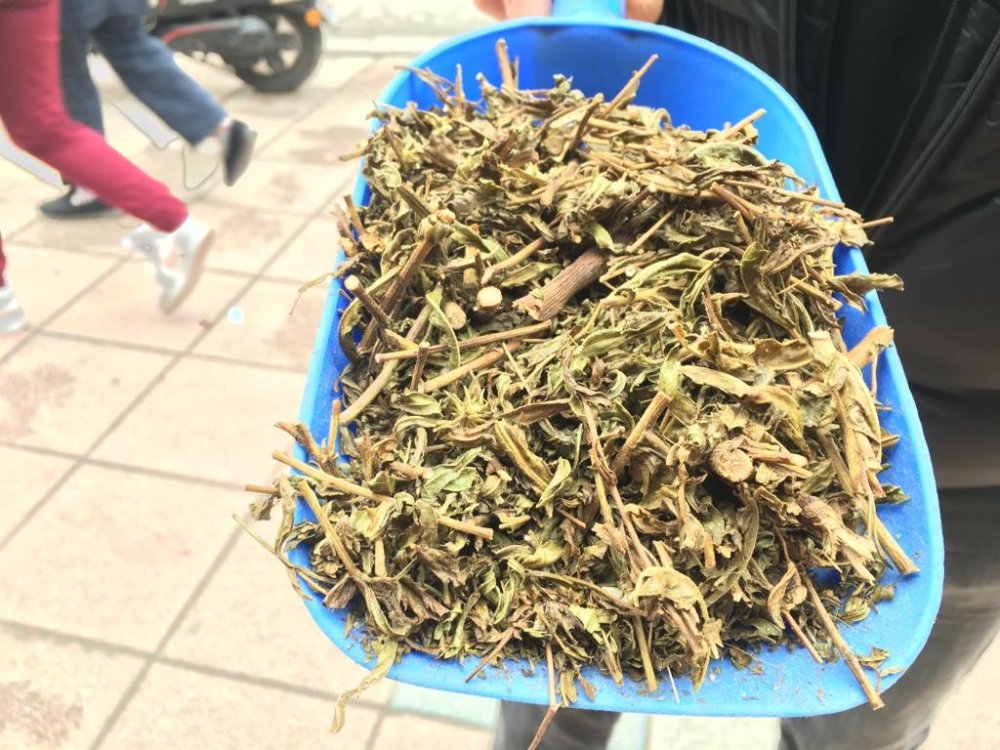 Balgam Sorunlarına “Yapışkan Andız Otu"