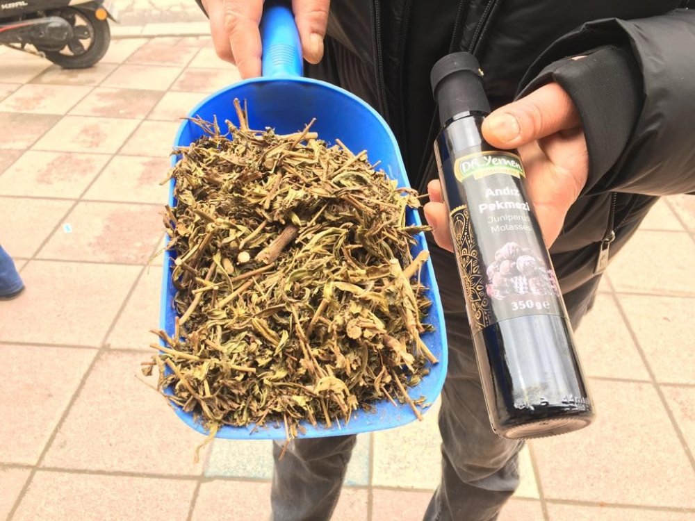 Balgam Sorunlarına “Yapışkan Andız Otu"