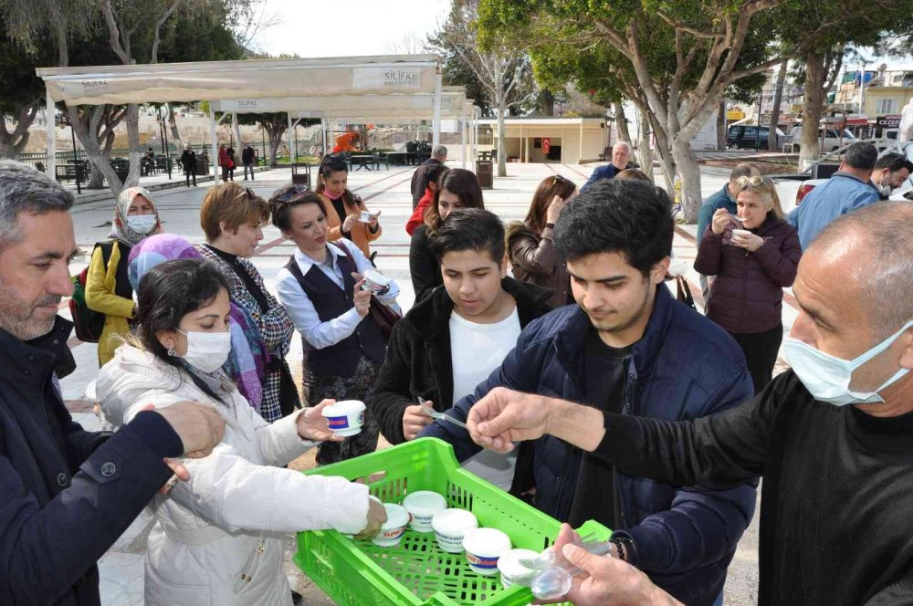 Silifke'nin Yoğurdu, Ah Seni Kimler Doğurdu!