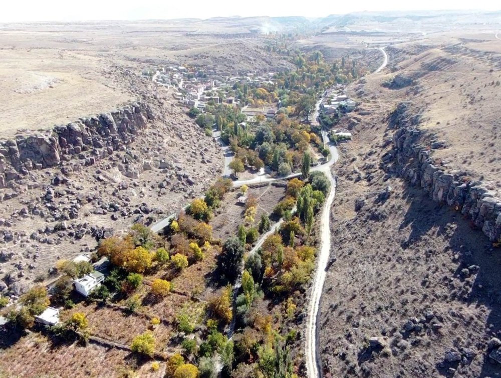 Kayseri'de Asırlık Ağaçlar Kurtarılmayı Bekliyor