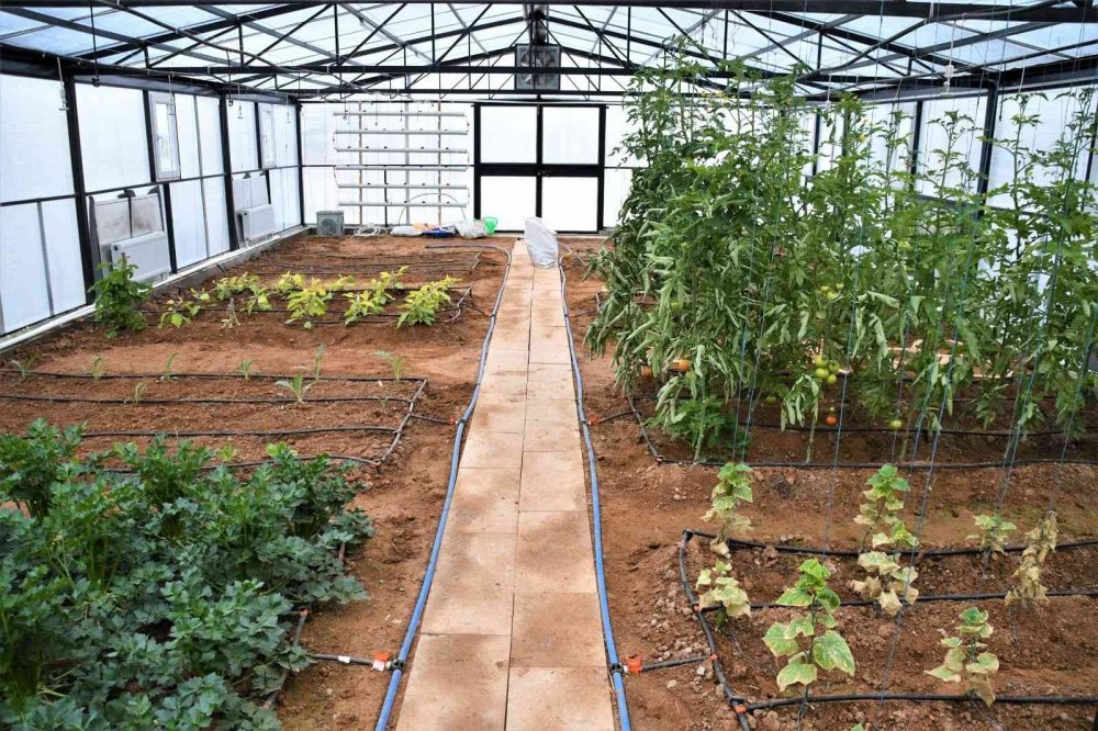 Aksaray’da Tarım Ve Doğa Atölyesi, İlgi Çekiyor