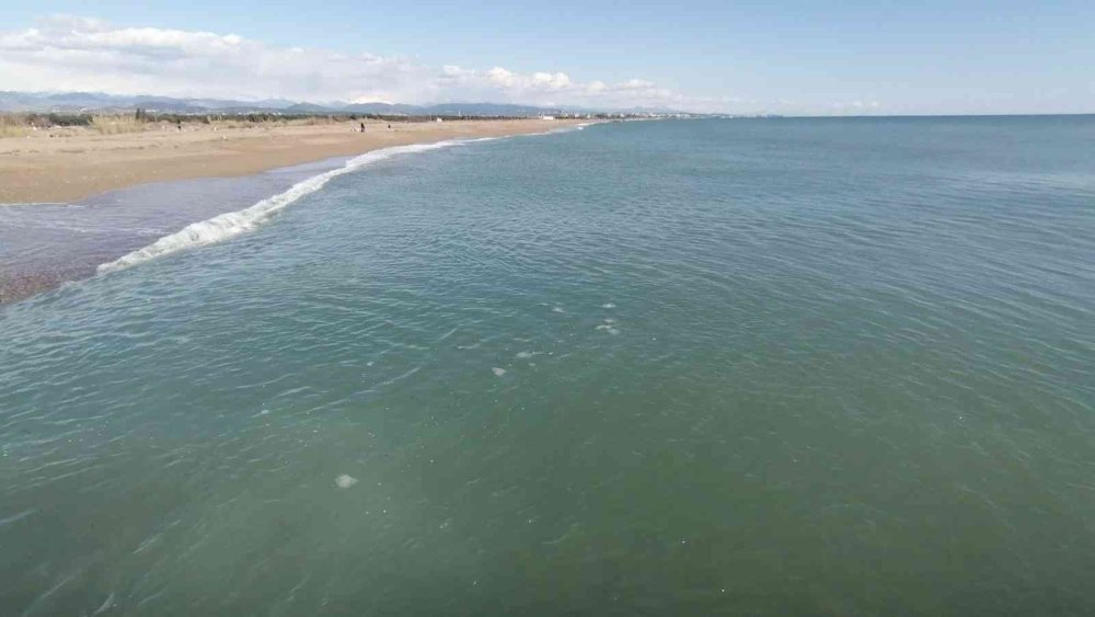 Manavgat’ta Denizanası Yoğunluğu