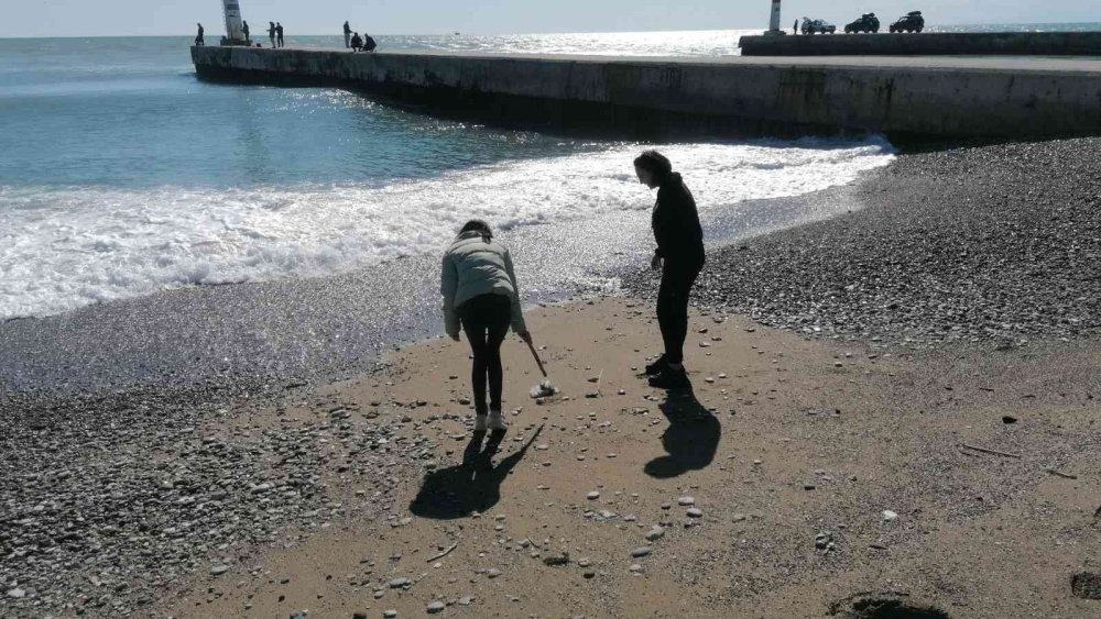 Manavgat’ta Denizanası Yoğunluğu