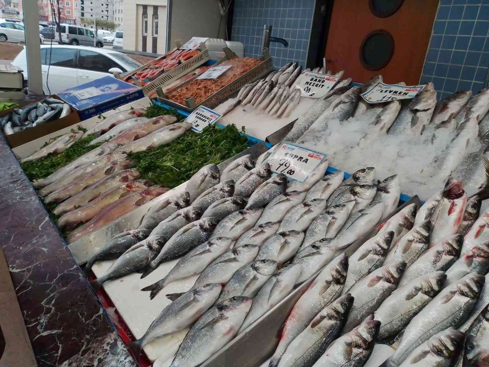 Vitamin Deposu ‘Tirsi’