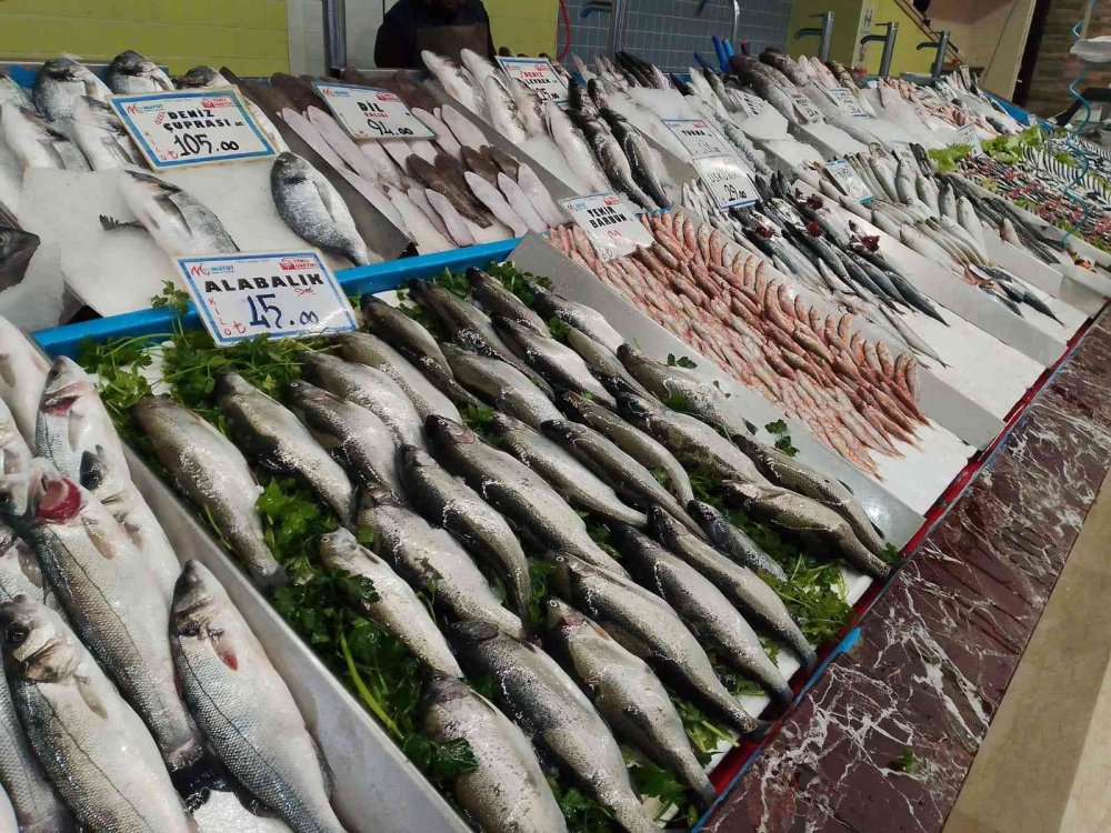 Vitamin Deposu ‘Tirsi’