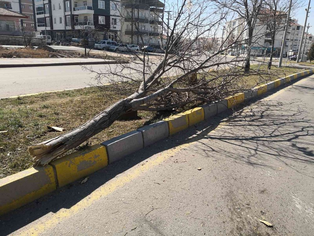 Aksaray'da Trafik Kazası Ucuz Atlatıldı