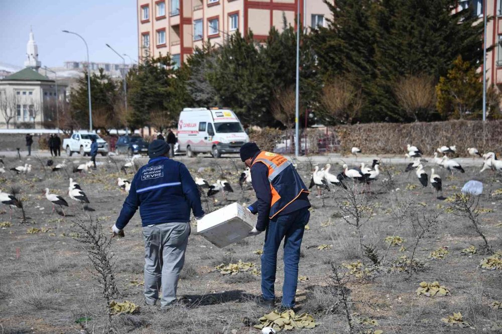 Karaman Yolunda Konya'ya Zorunlu İniş Yaptılar