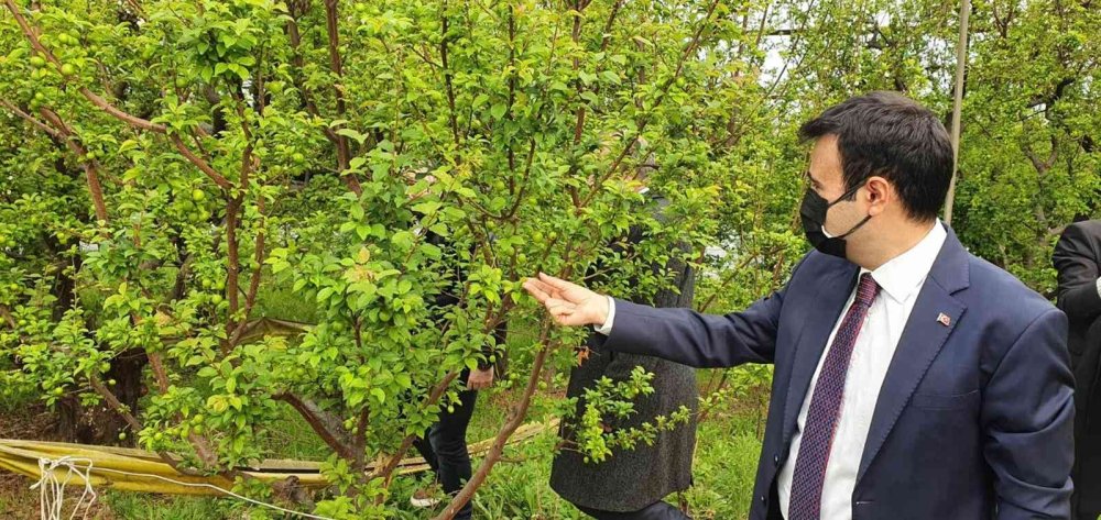 Mut'ta Eriğin Kilosu Sizce Ne Kadar?