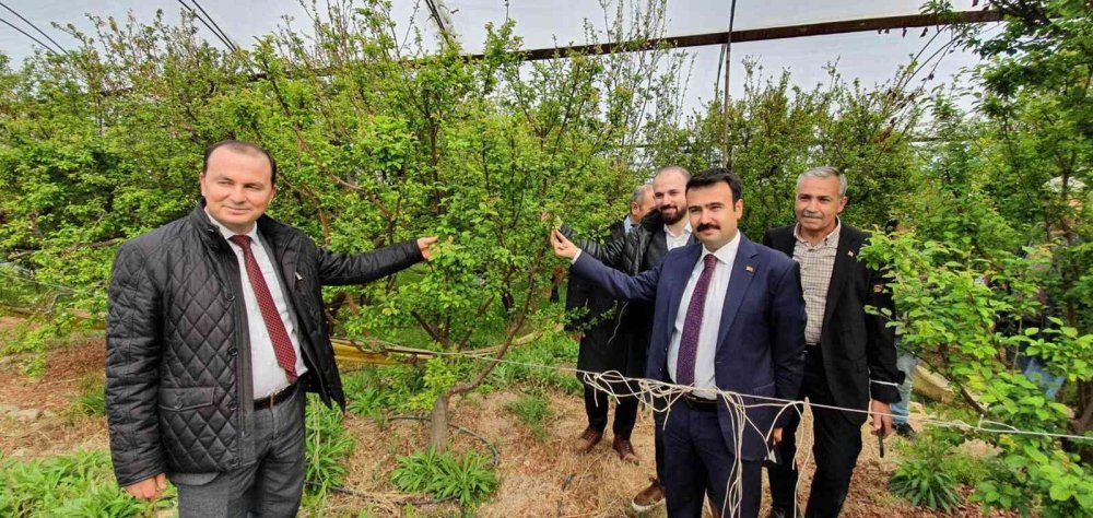 Mut'ta Eriğin Kilosu Sizce Ne Kadar?