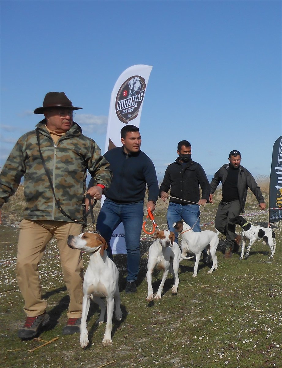 4. Fermalı Av Köpekleri Yarışması Serik'te Yapıldı