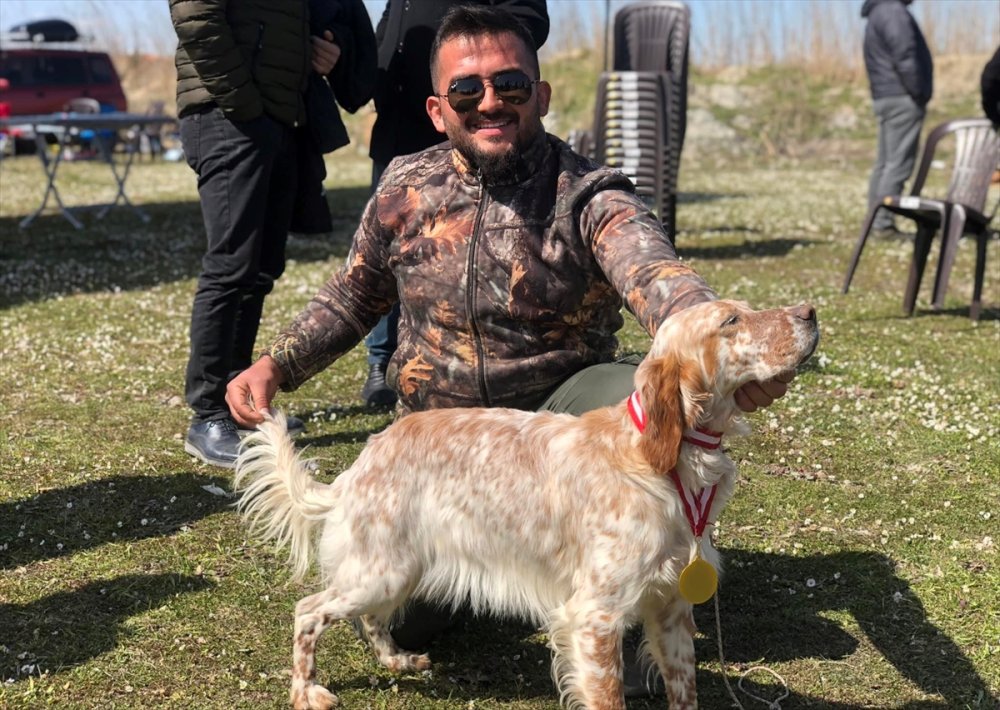 4. Fermalı Av Köpekleri Yarışması Serik'te Yapıldı