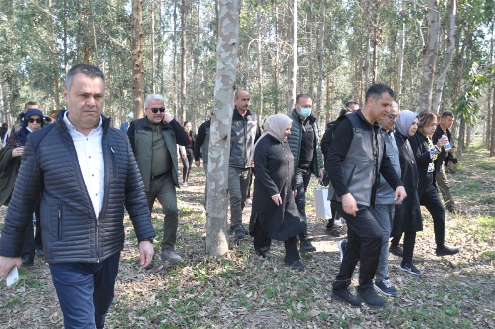 Mersin'de Karabucak Okaliptüs Ormanı Ekoturizm Parkuru Açıldı