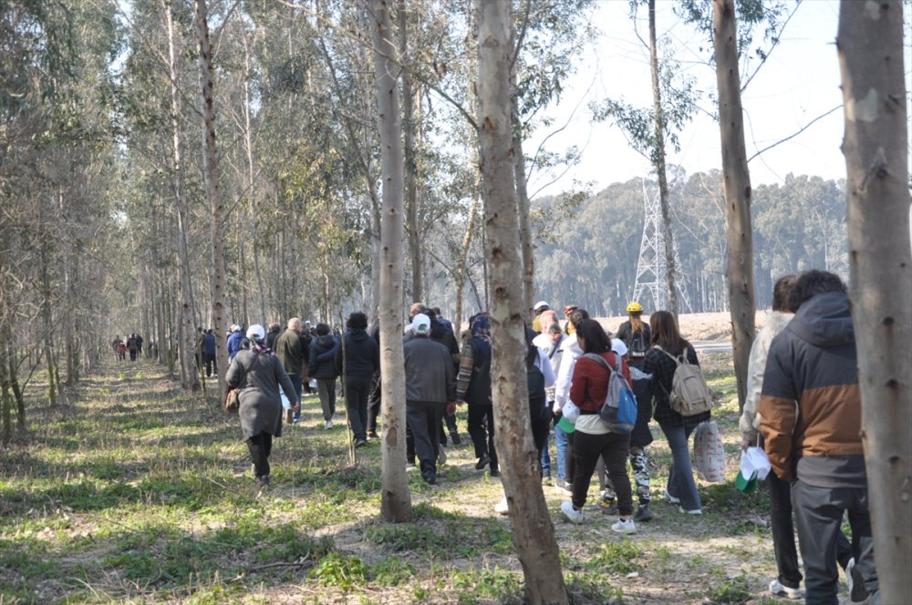 Mersin'de Karabucak Okaliptüs Ormanı Ekoturizm Parkuru Açıldı